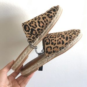 Cheetah Slides